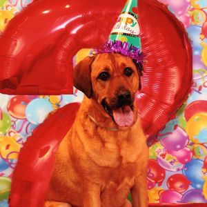 Meet your Posher, Michael